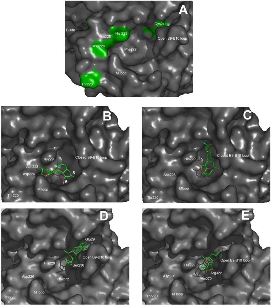 Figure 7