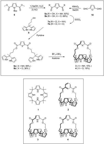 Scheme 1