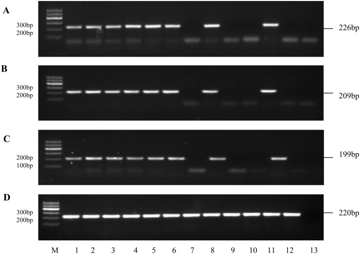 Fig 6