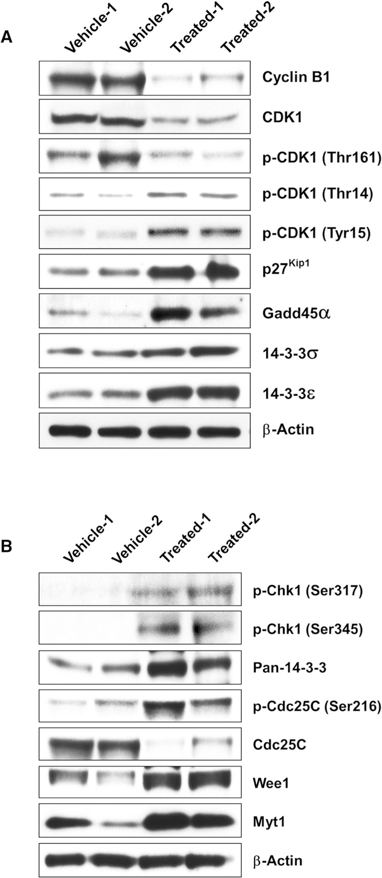 Fig. 13