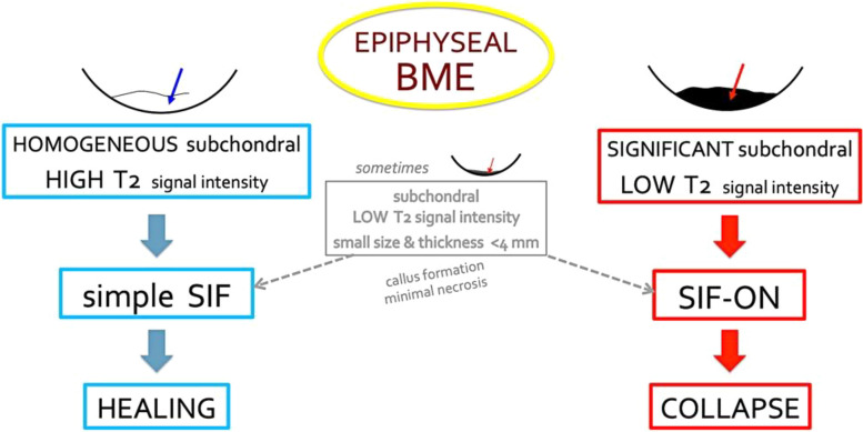 Fig. 21