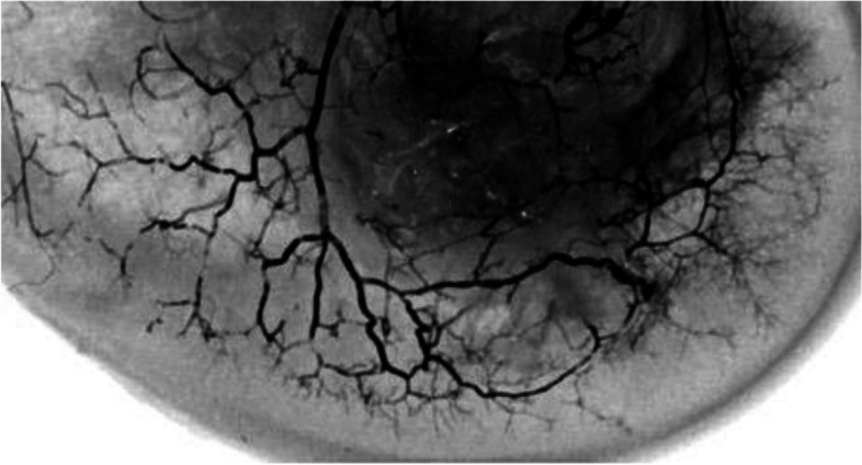 Fig. 14