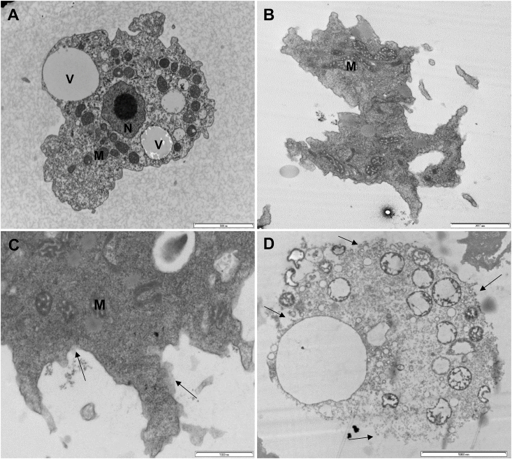 Fig. 6