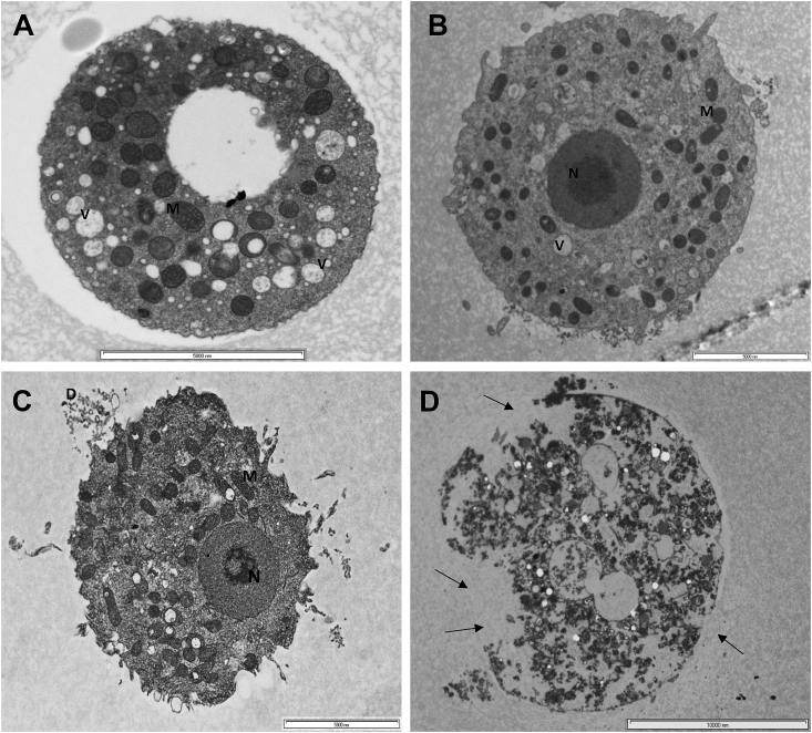 Fig. 10