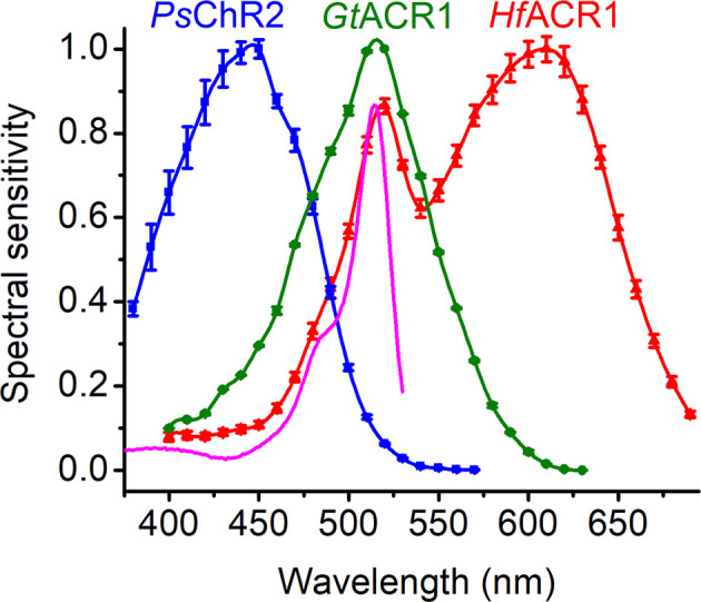 Figure 4