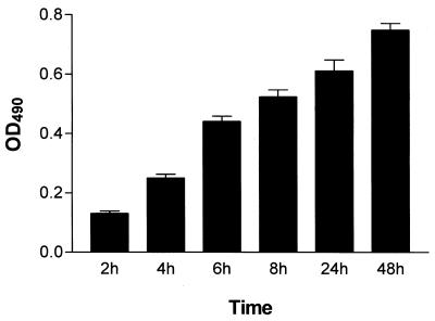 FIG. 2