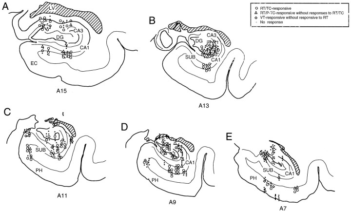 Fig. 14.