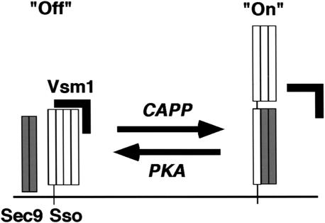 Figure 9.