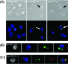 FIG. 4.