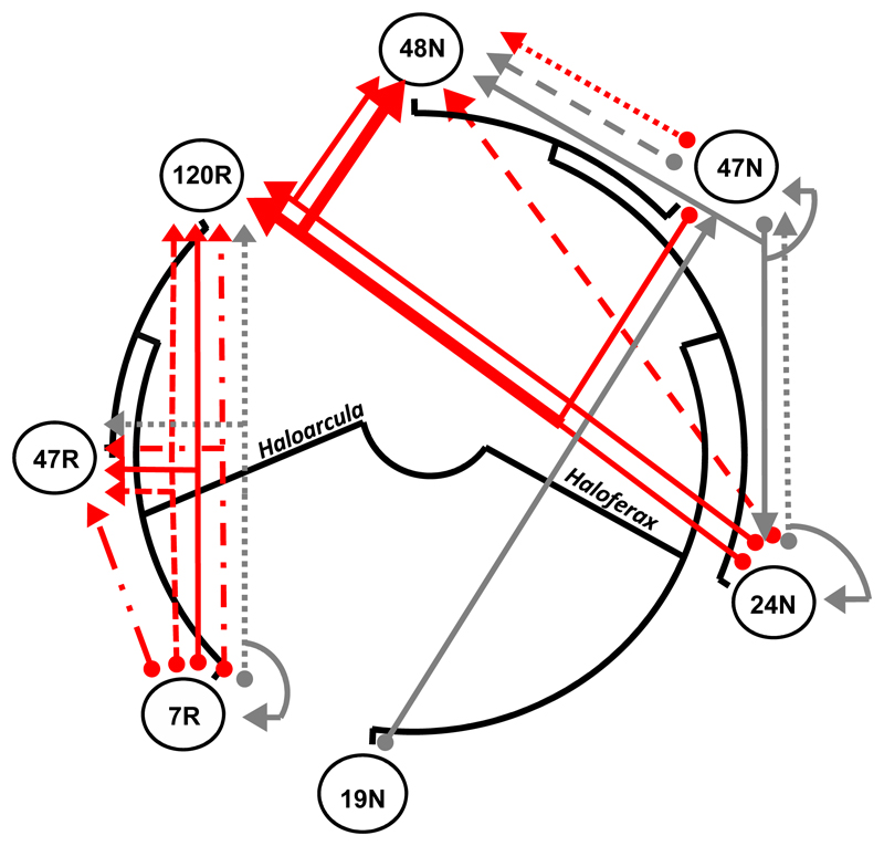 Fig. 1