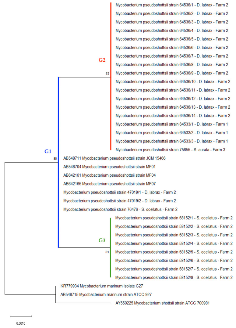 Figure 5