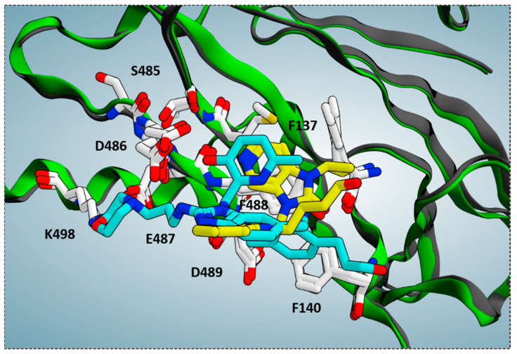 Figure 6