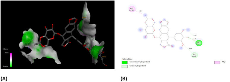 Fig. 11