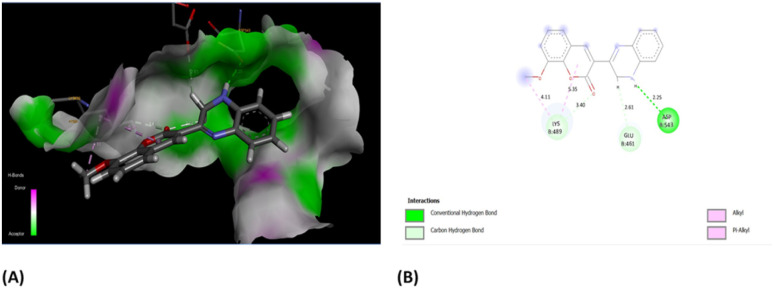 Fig. 10