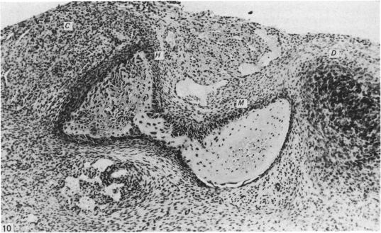 Fig. 10