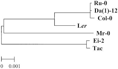 Figure 7.