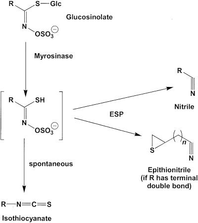 Figure 10.