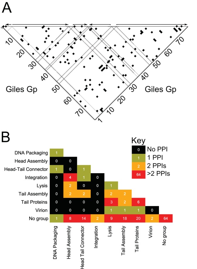 FIG 3