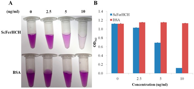 Figure 7