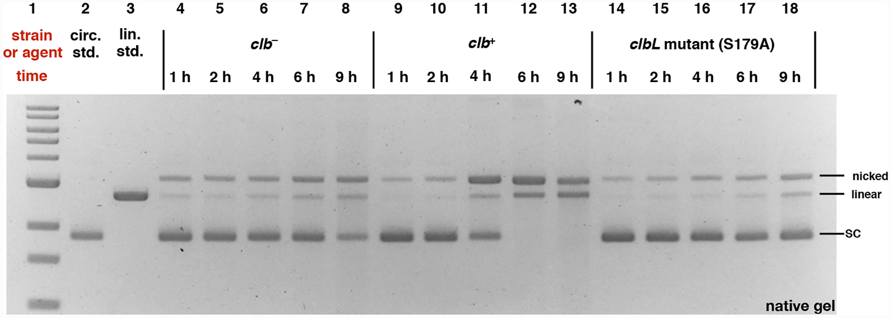 Fig. 2.