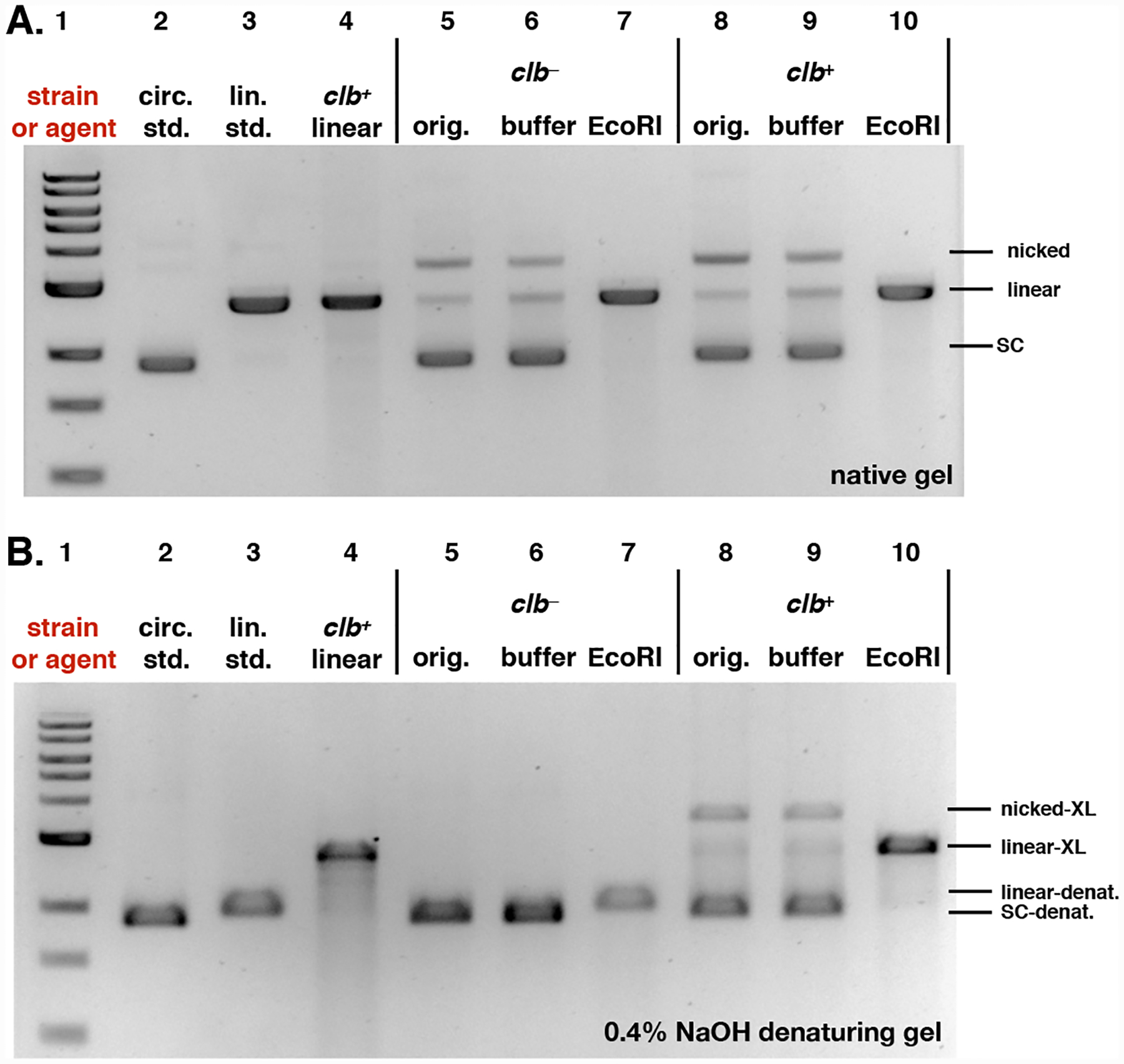 Fig. 5.