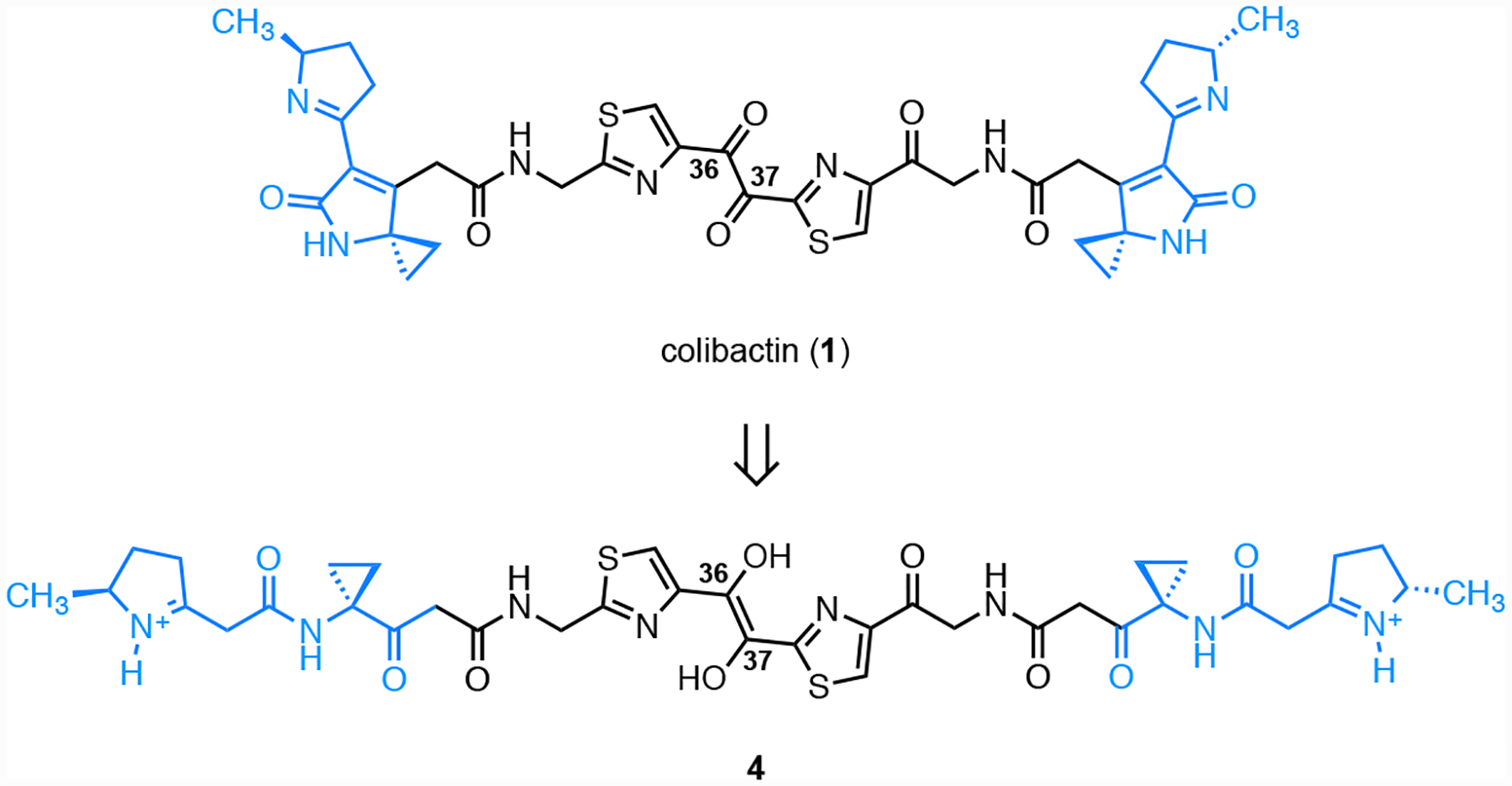 Fig. 8.