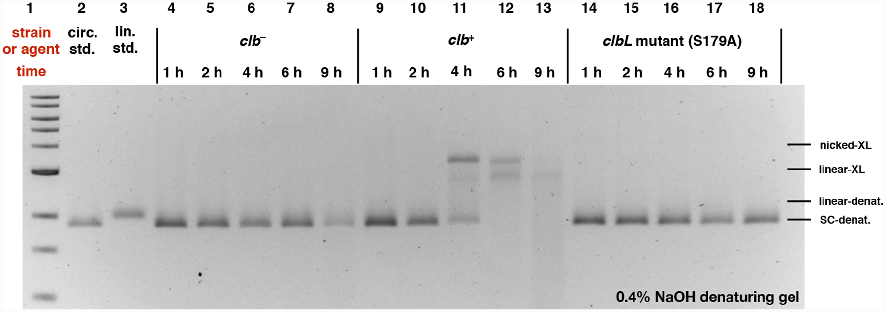 Fig. 3.