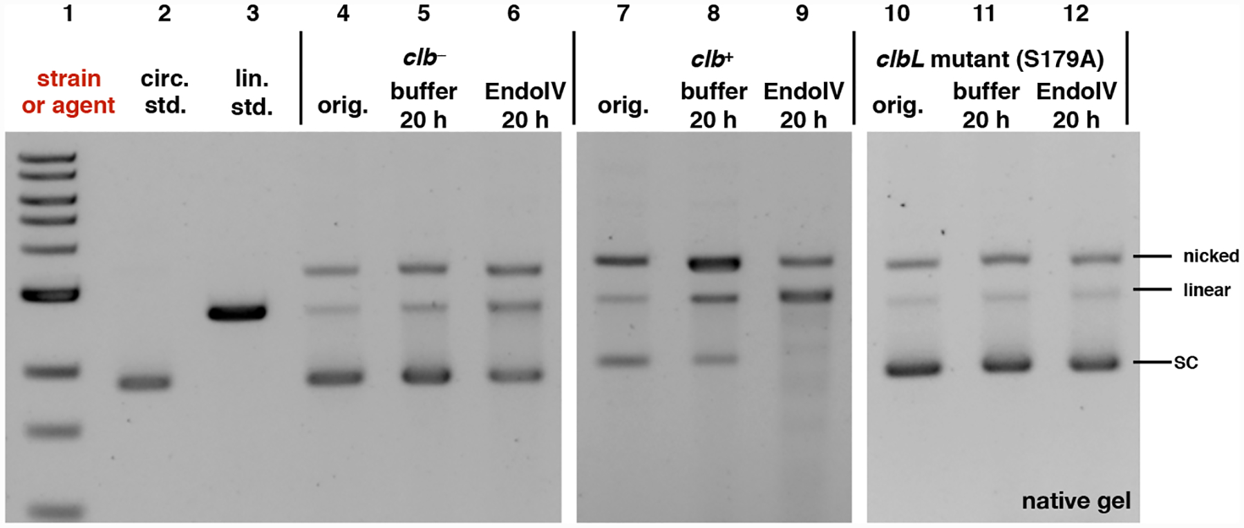 Fig. 7.