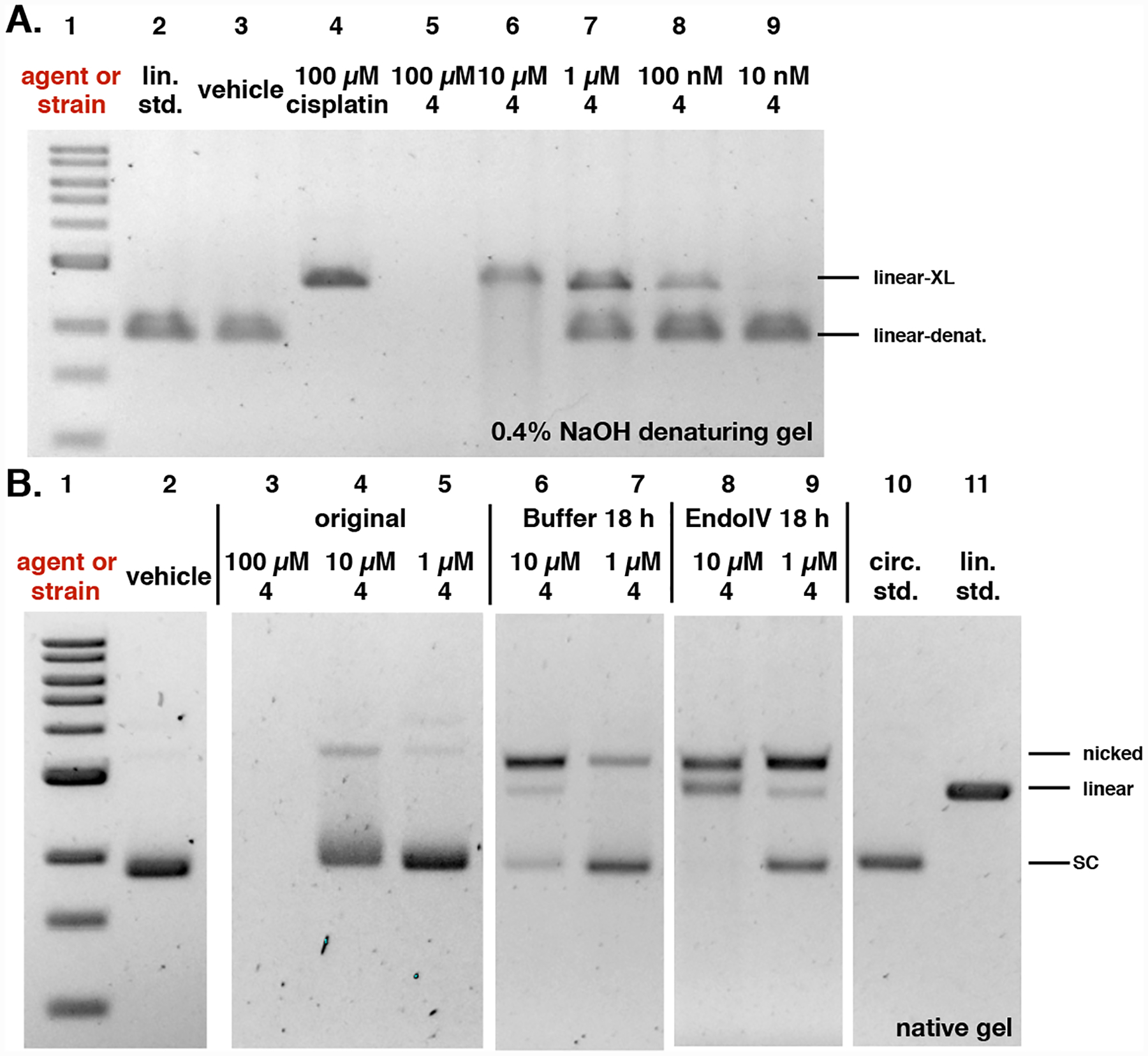 Fig. 9.