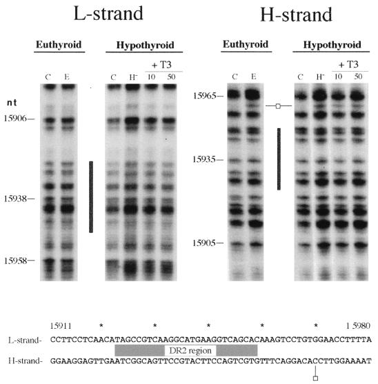 FIG. 9