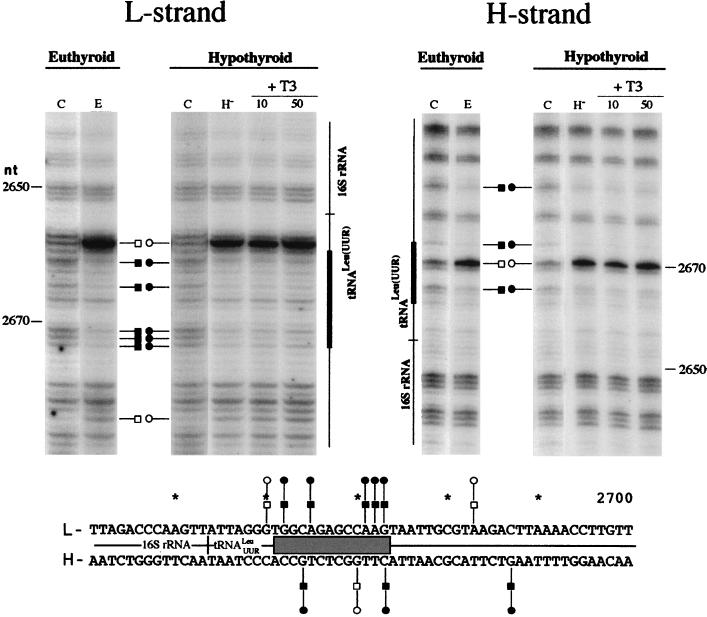 FIG. 8