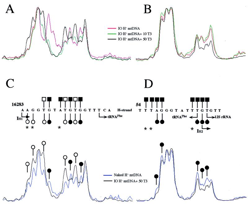 FIG. 7