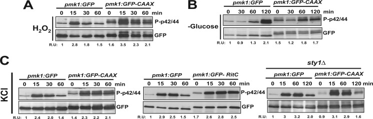 FIGURE 4.