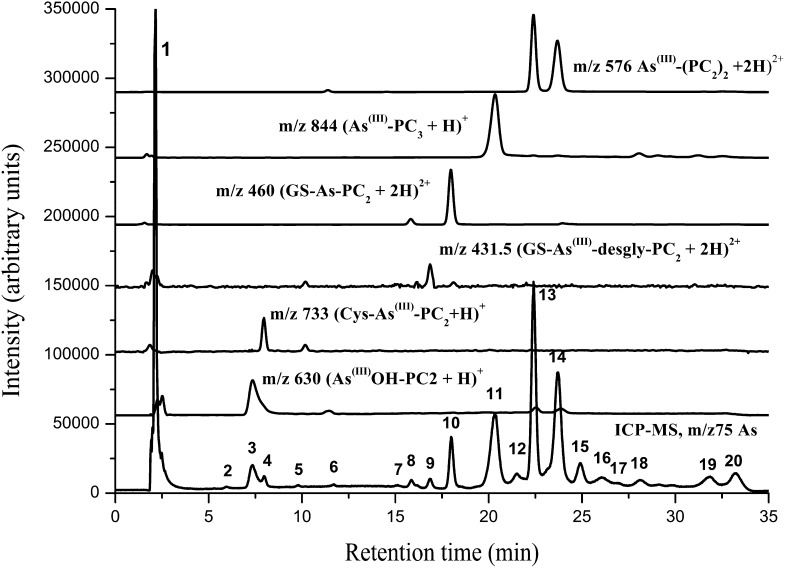 Figure 5.