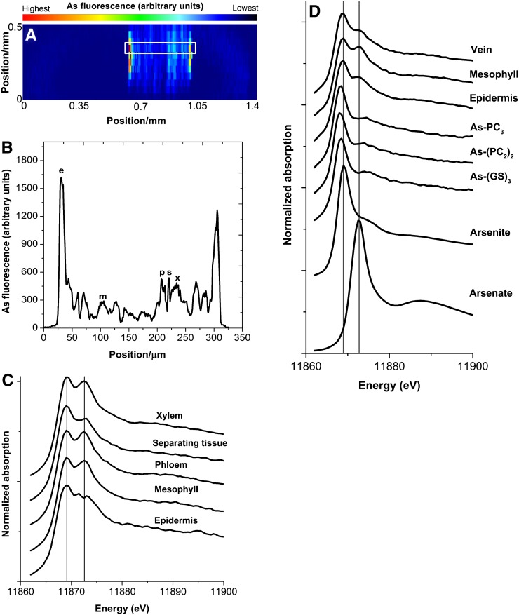 Figure 2.