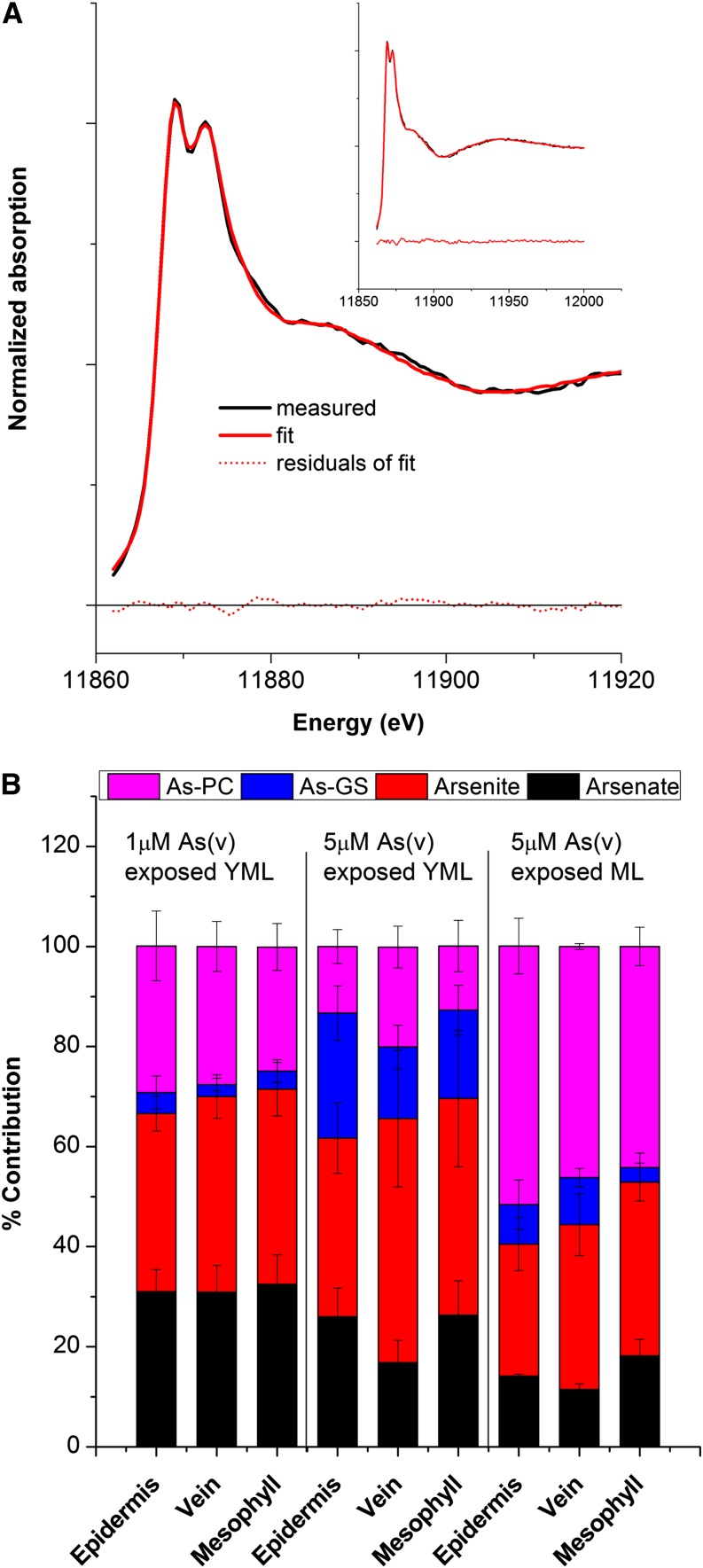 Figure 7.