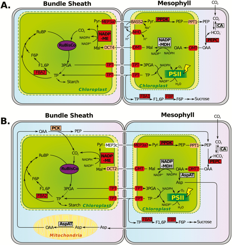 Fig. 3.