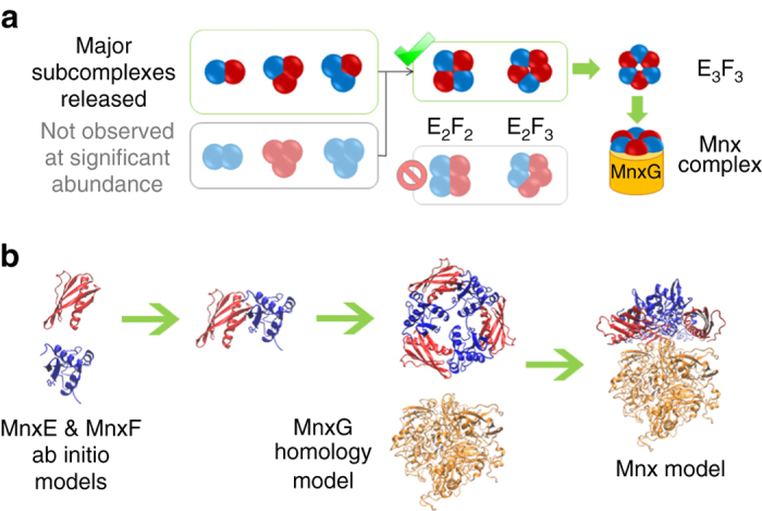 Fig. 4