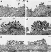 FIG. 6
