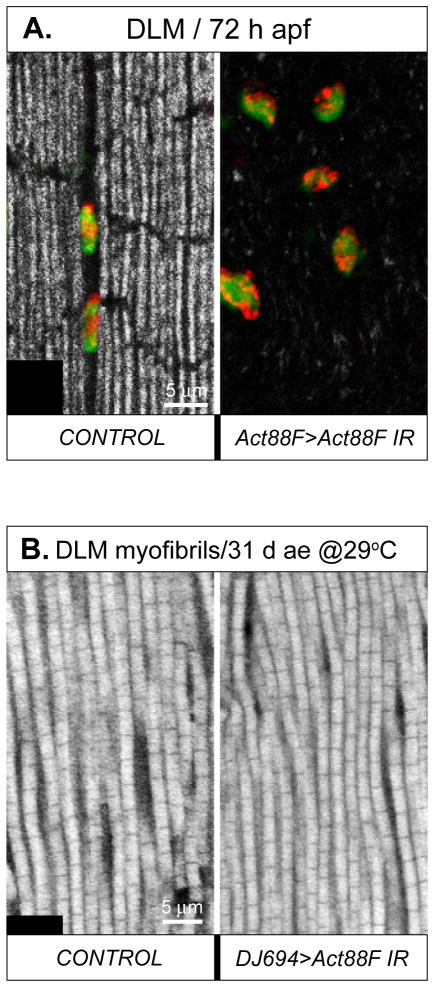 Fig. 10