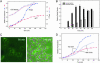 Fig. 3.