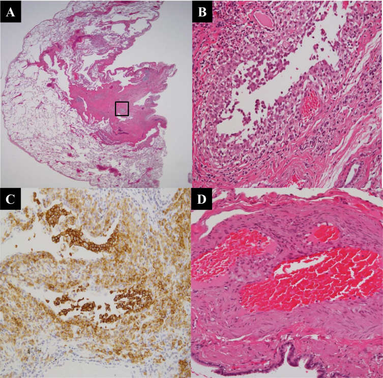 Fig. 2