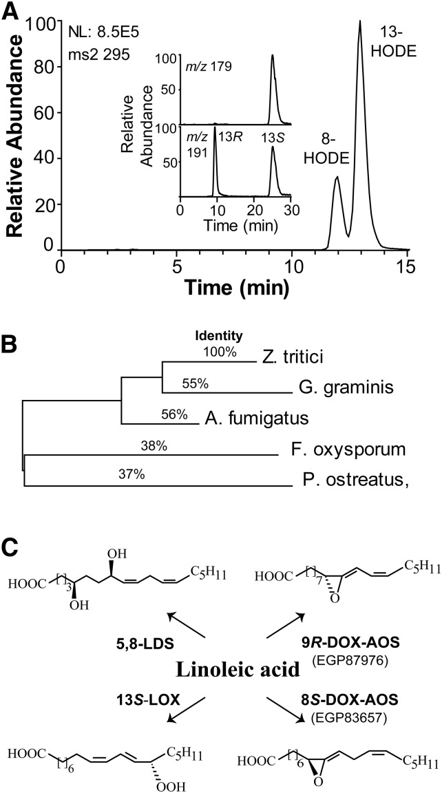 Fig. 6.