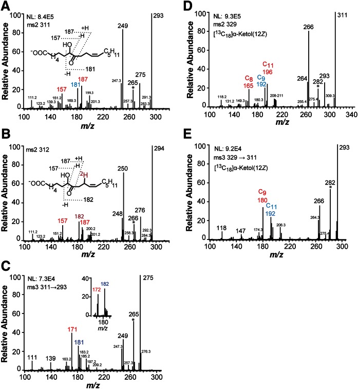 Fig. 3.