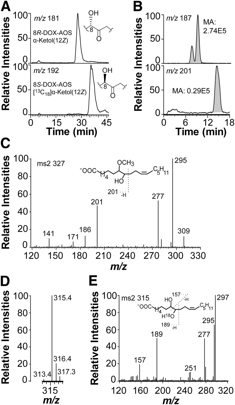 Fig. 7.