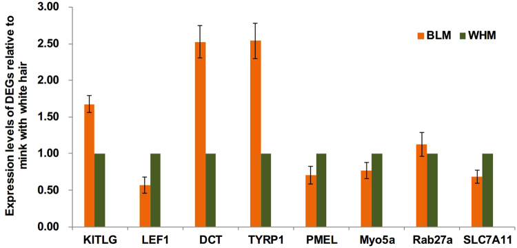 Figure 7