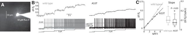 Figure 5.