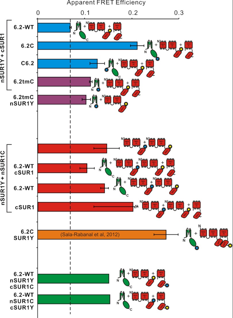 FIGURE 6.