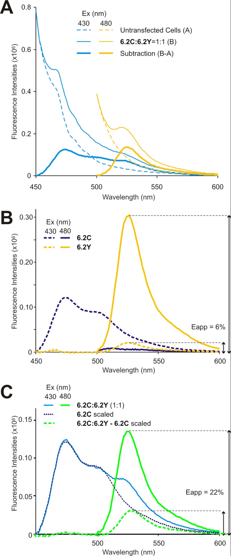 FIGURE 3.