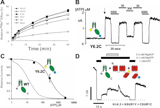 FIGURE 2.